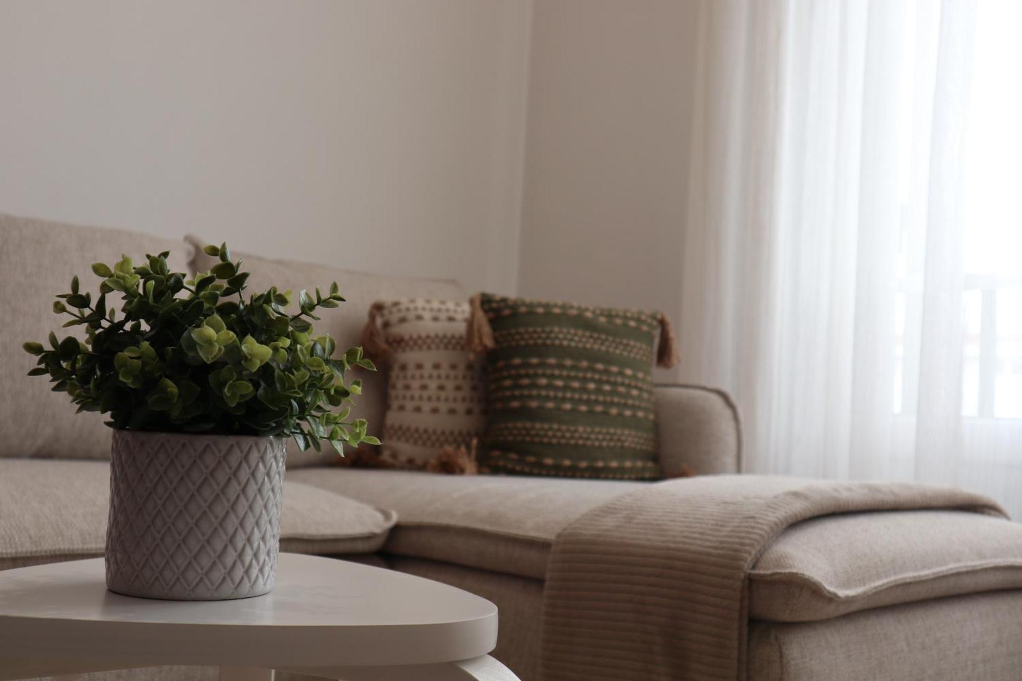 Wild Blue By Svl Appartement Ponta Delgada Buitenkant foto