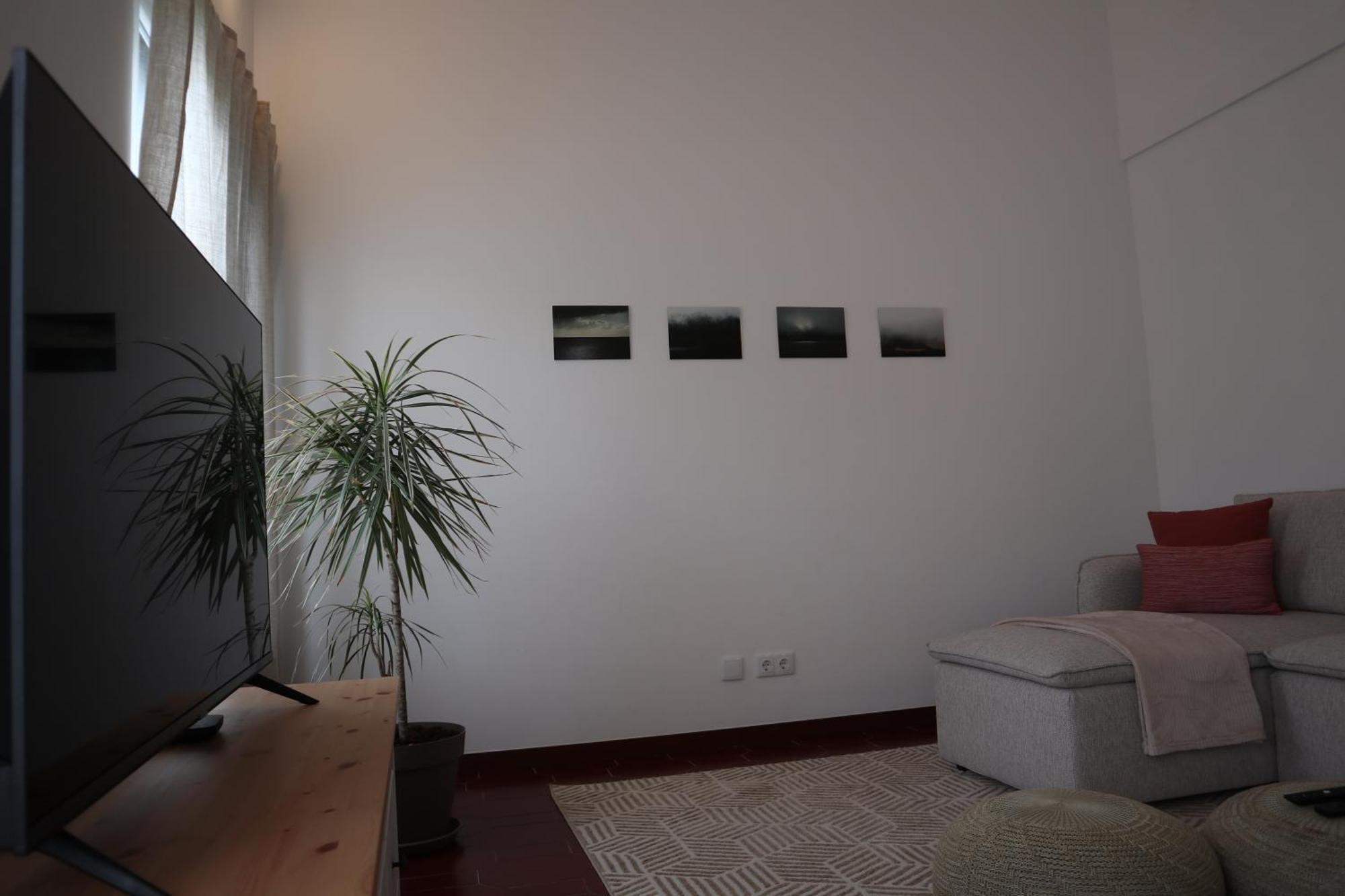 Wild Blue By Svl Appartement Ponta Delgada Buitenkant foto