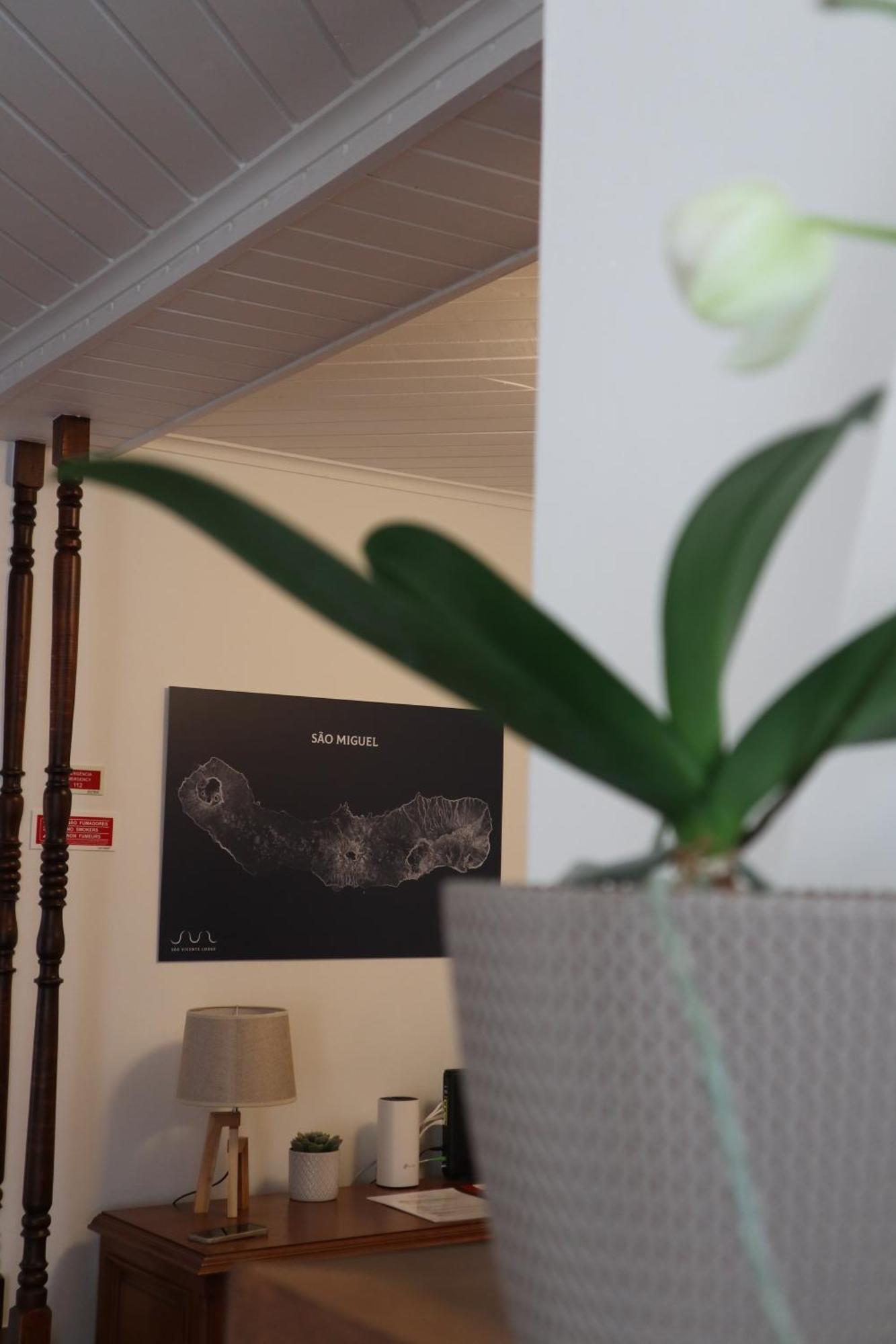 Wild Blue By Svl Appartement Ponta Delgada Buitenkant foto
